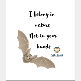Bat Rabies Prevention Posters and Art